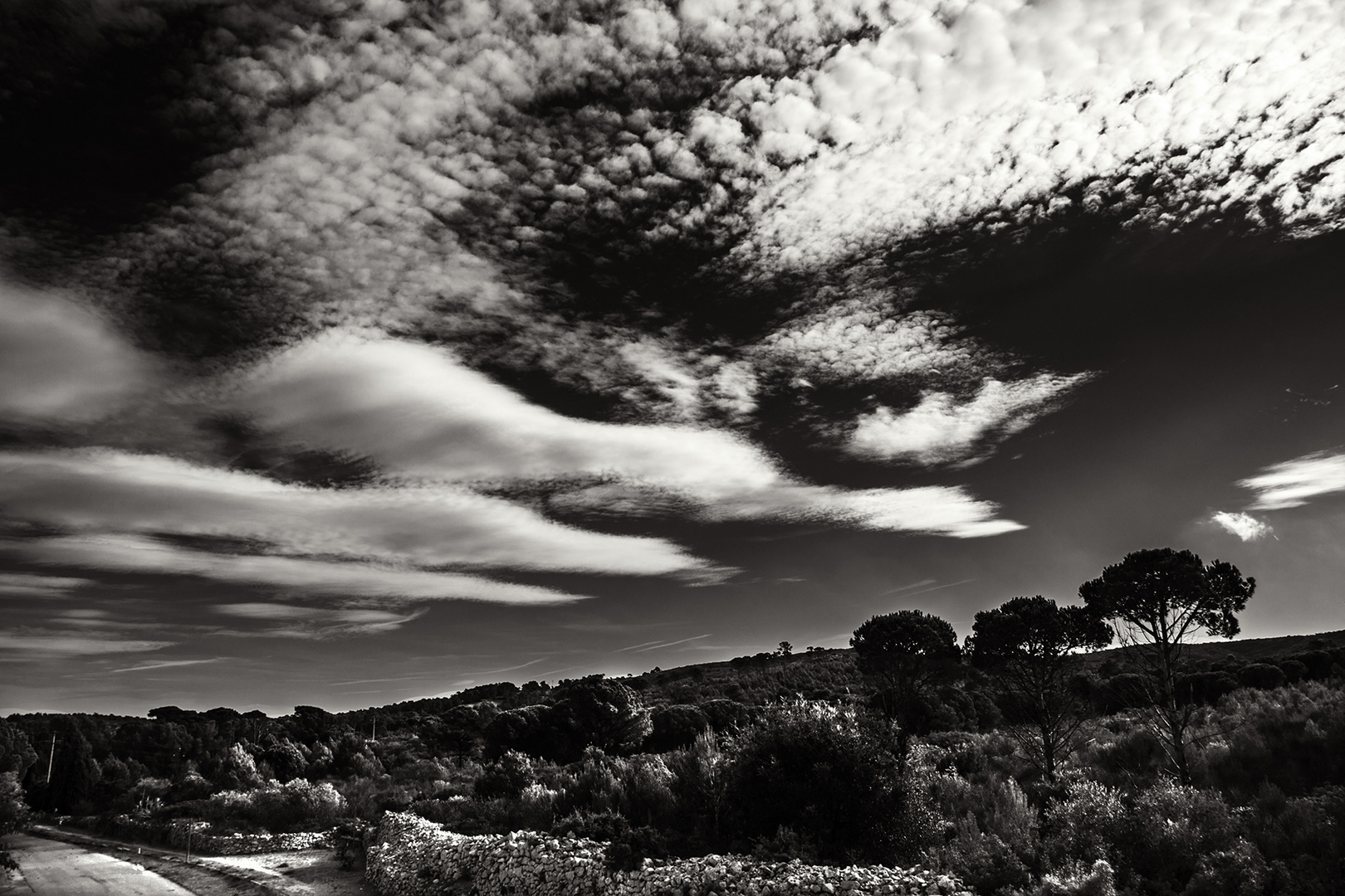 PAISAJE DE L`ESCALA