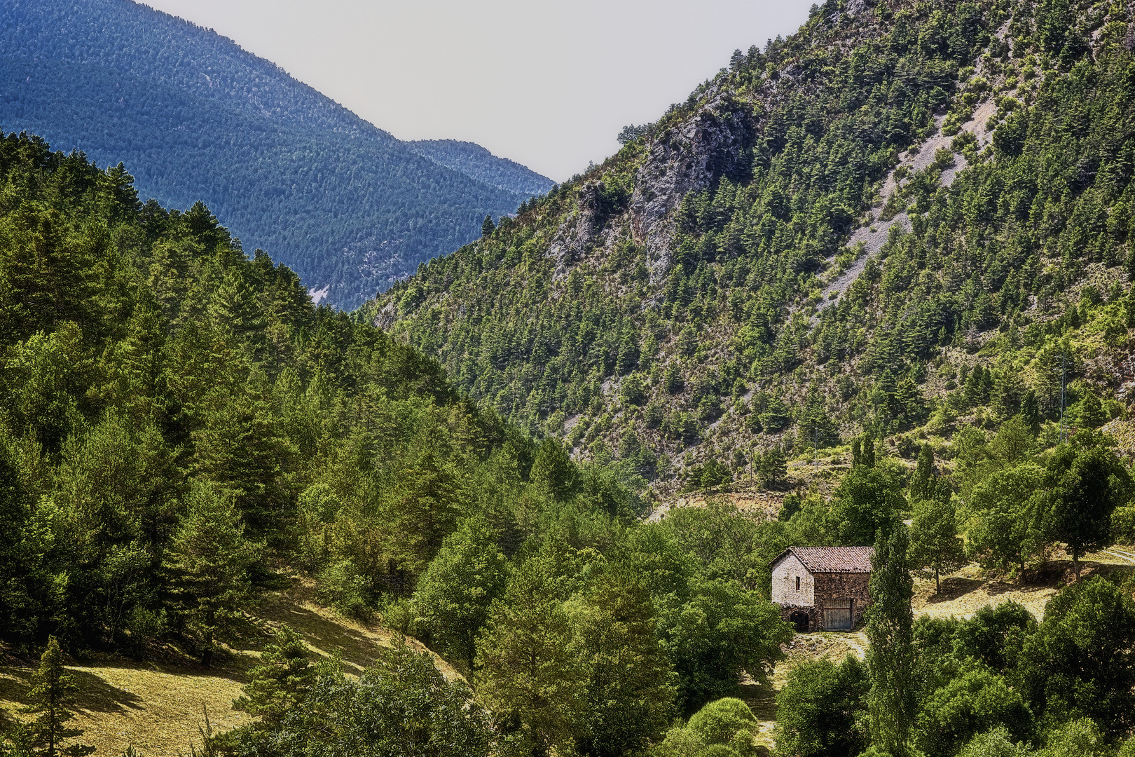 Paisaje de Montaña