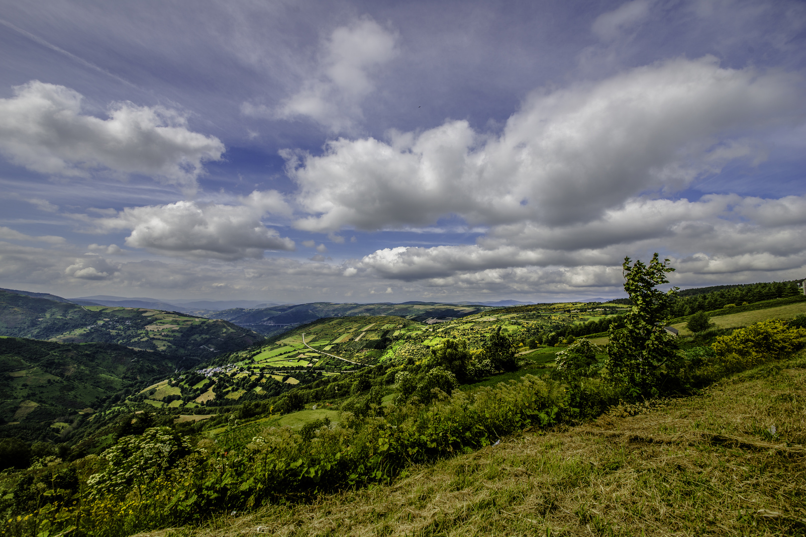 PAISAJE DE MONTAÑA LUCENSE