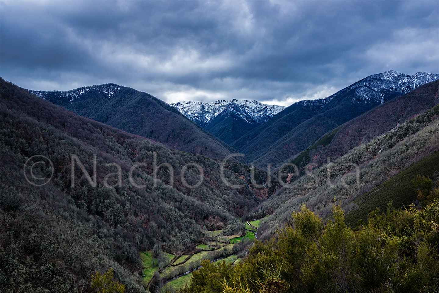 PAISAJE DE MUNIELLOS I