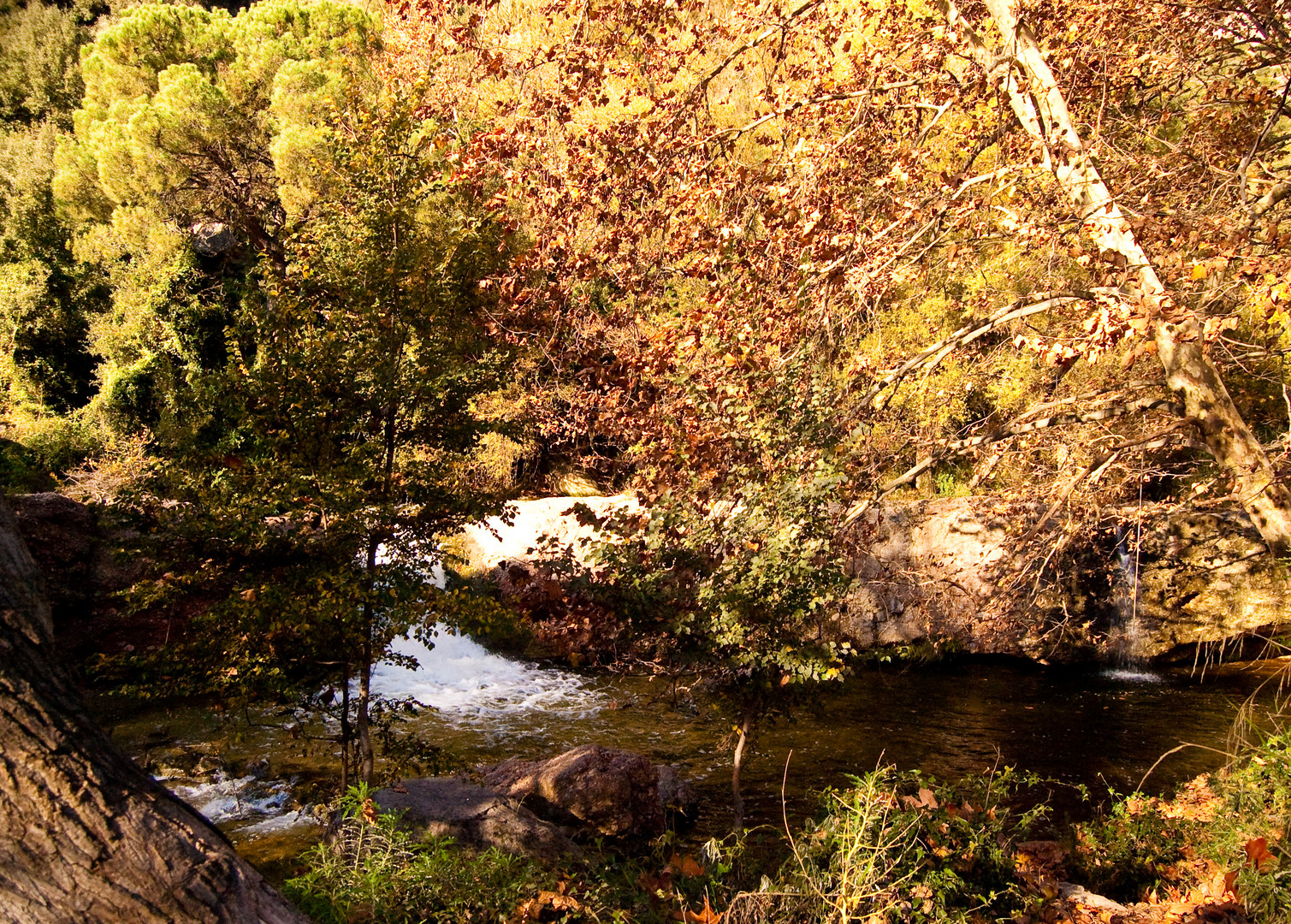 PAISAJE DE OTOÑO