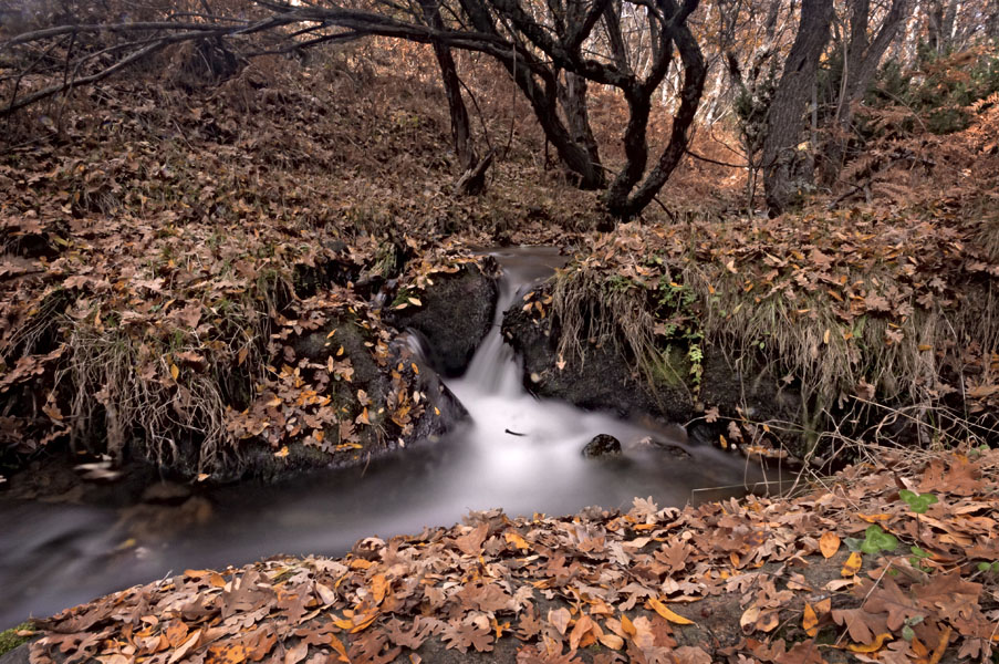 Paisaje de otoño II_DSC8092 web