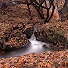 Paisaje de otoño II_DSC8092 web