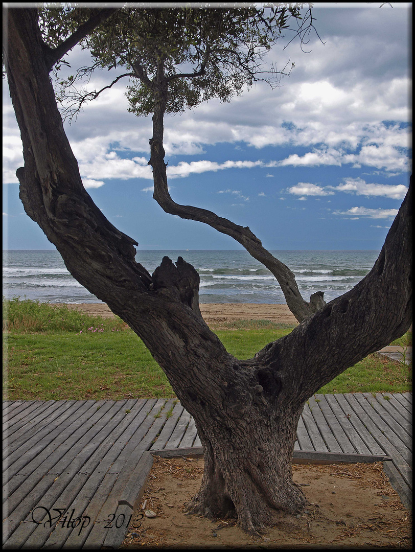 PAISAJE DE PLAYA