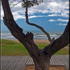 PAISAJE DE PLAYA