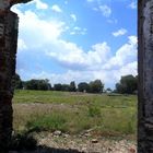 PAISAJE DE UN TERRENO ABANDONADO