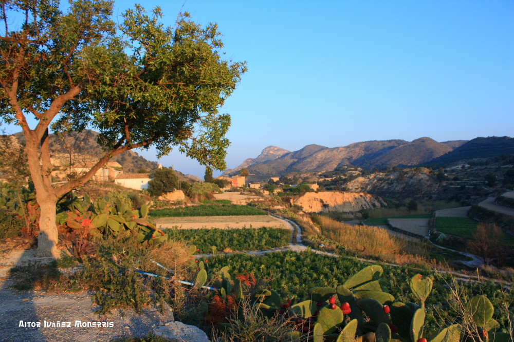 Paisaje de Xixona