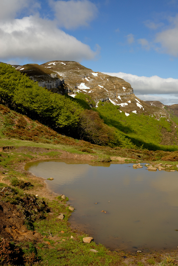 Paisaje del Alto Asón