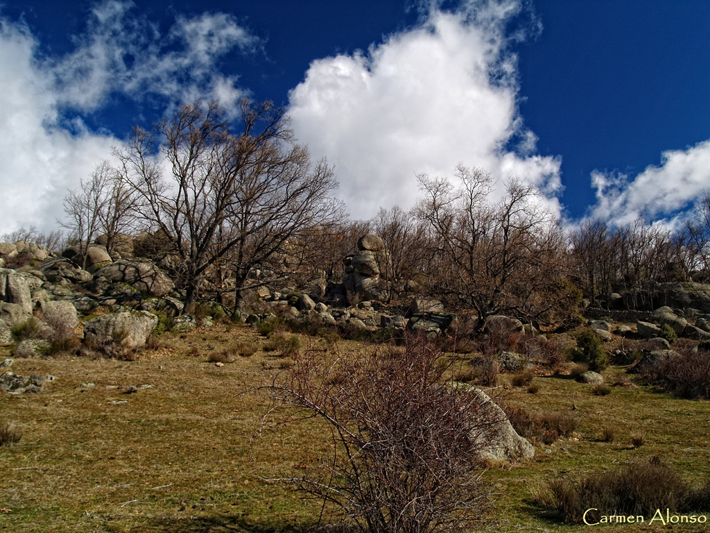 Paisaje del campo