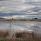 Paisaje del Campo de Alíste