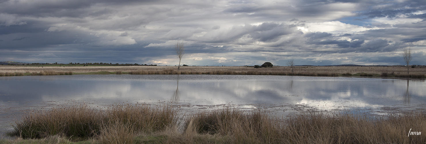 Paisaje del Campo de Alíste