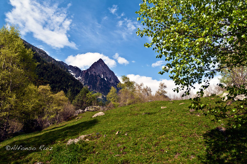 Paisaje del Pirineo