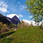 Paisaje del Pirineo