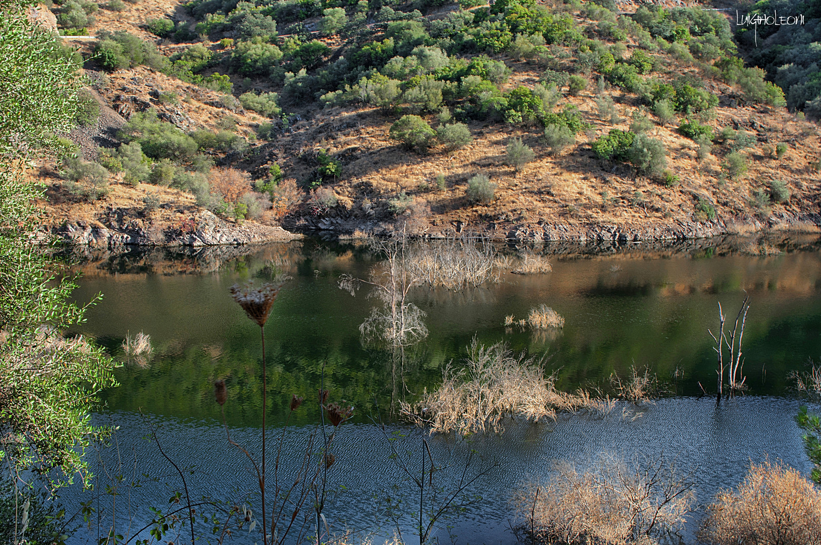 Paisaje d'er badi Guadiato