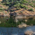 Paisaje d'er badi Guadiato