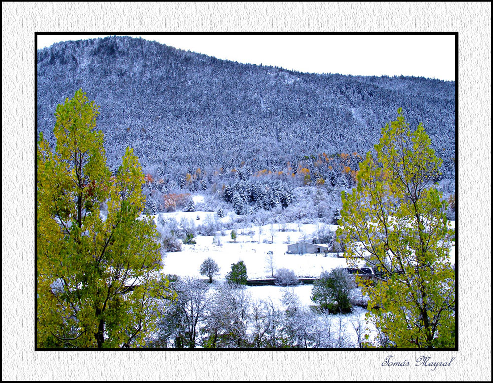 Paisaje en Blanco