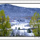 Paisaje en Blanco