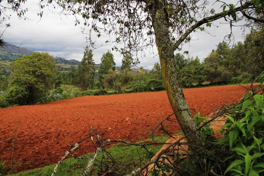 Paisaje en Cajabamba, Cajamarca, Peru