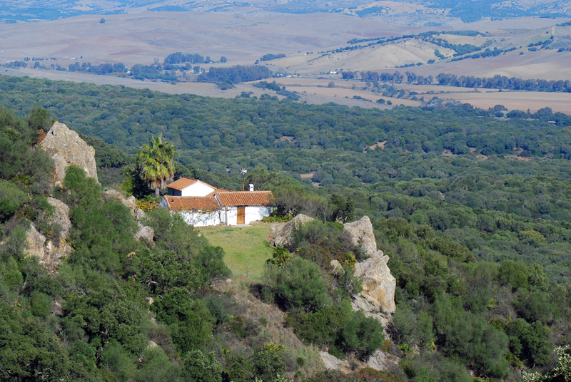 Paisaje en Castellar de la Frontera