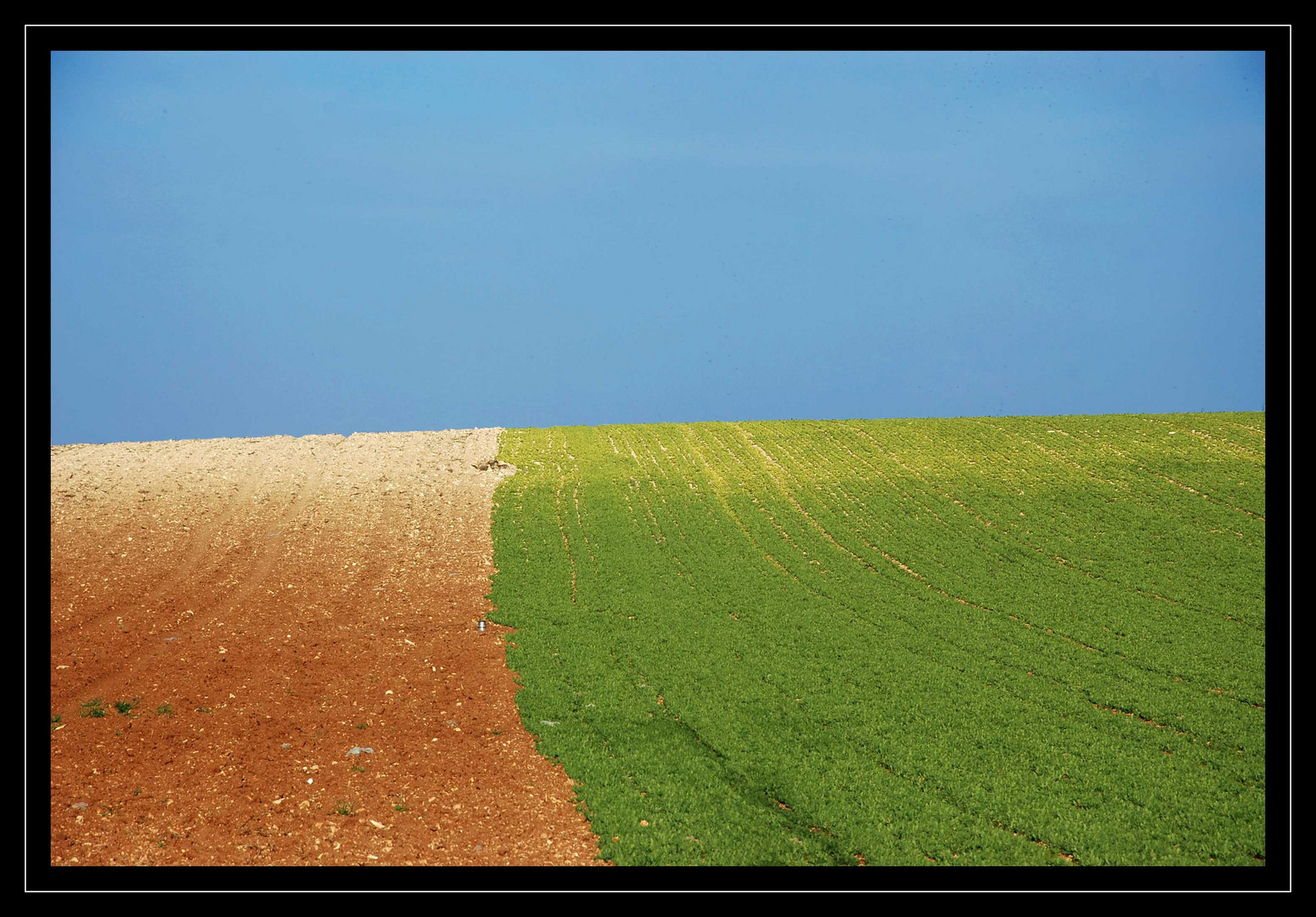 Paisaje en dos colores