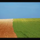 Paisaje en dos colores