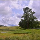 Paisaje en el lago (Landschaft am See)