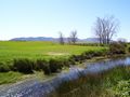 ES: Paisaje en el río Algodor...FERNANDO LÓPEZ   fOTOGRAFÍAS... by Fernando López fotografías...