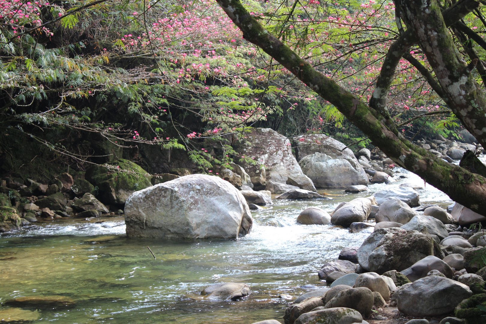 Paisaje en el rio San Rafael