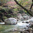 Paisaje en el rio San Rafael