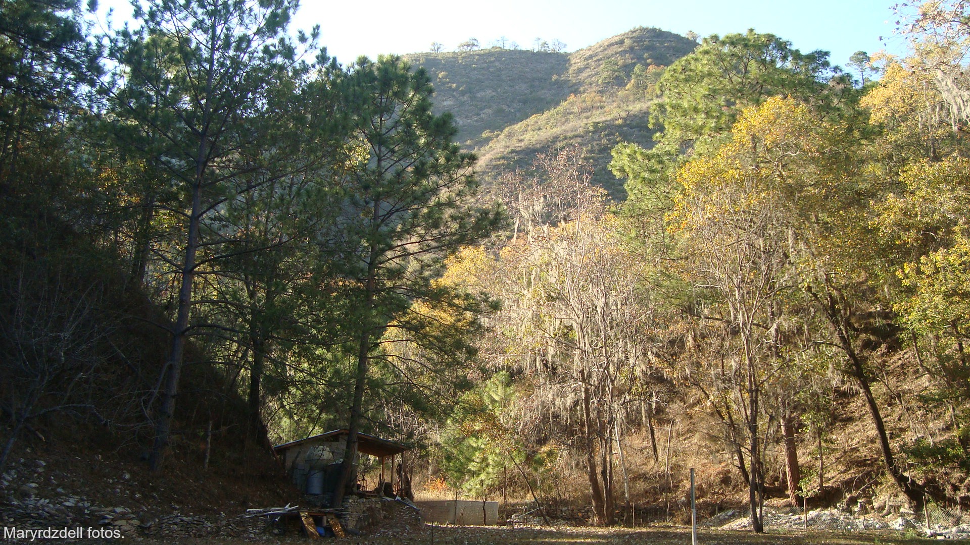 Paisaje en la Cola de Caballo en Monterrey México.