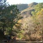 Paisaje en la Cola de Caballo en Monterrey México.