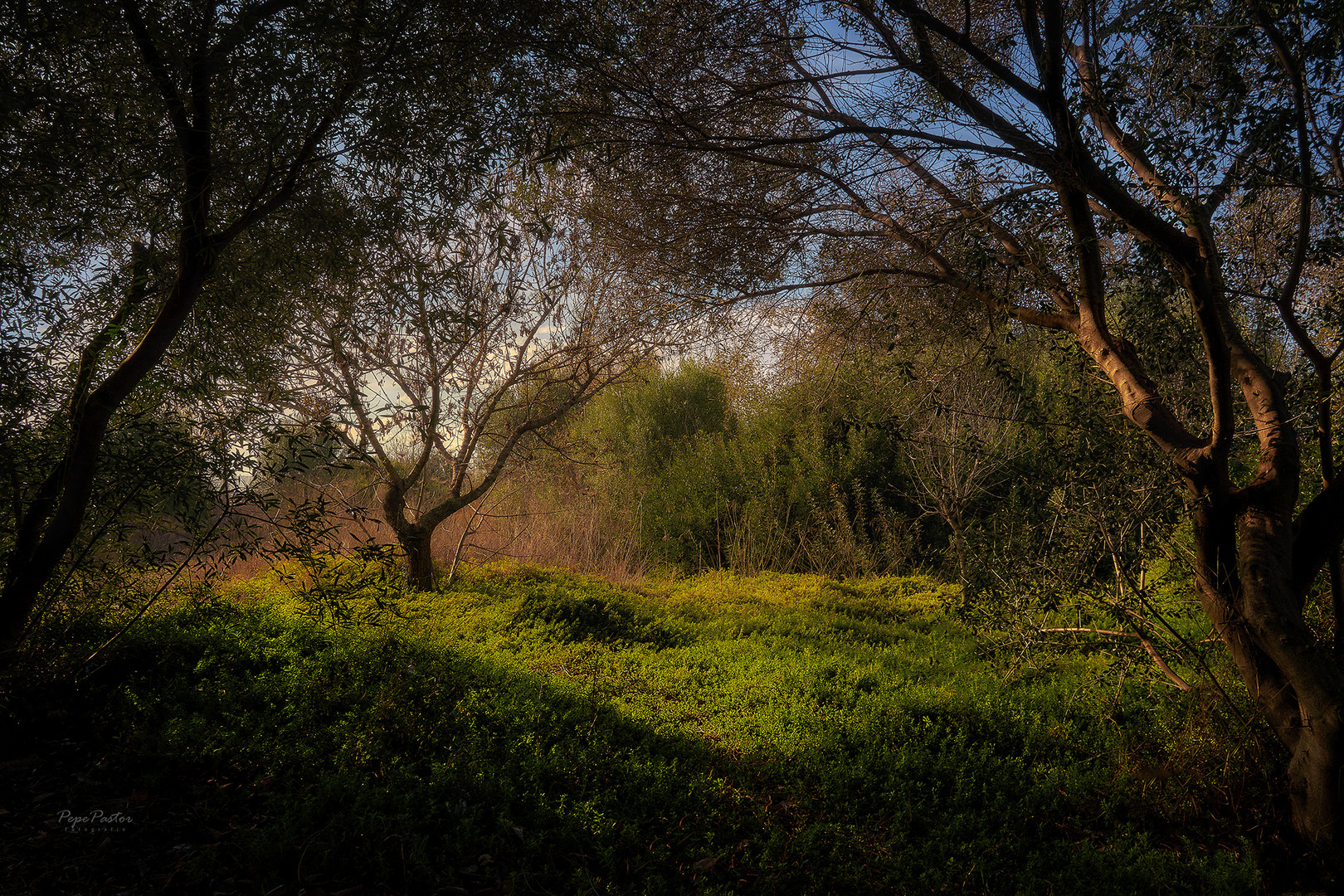 Paisaje en la desembocadura del rio Guadalhorce