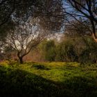 Paisaje en la desembocadura del rio Guadalhorce