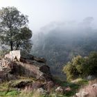 Paisaje en la niebla