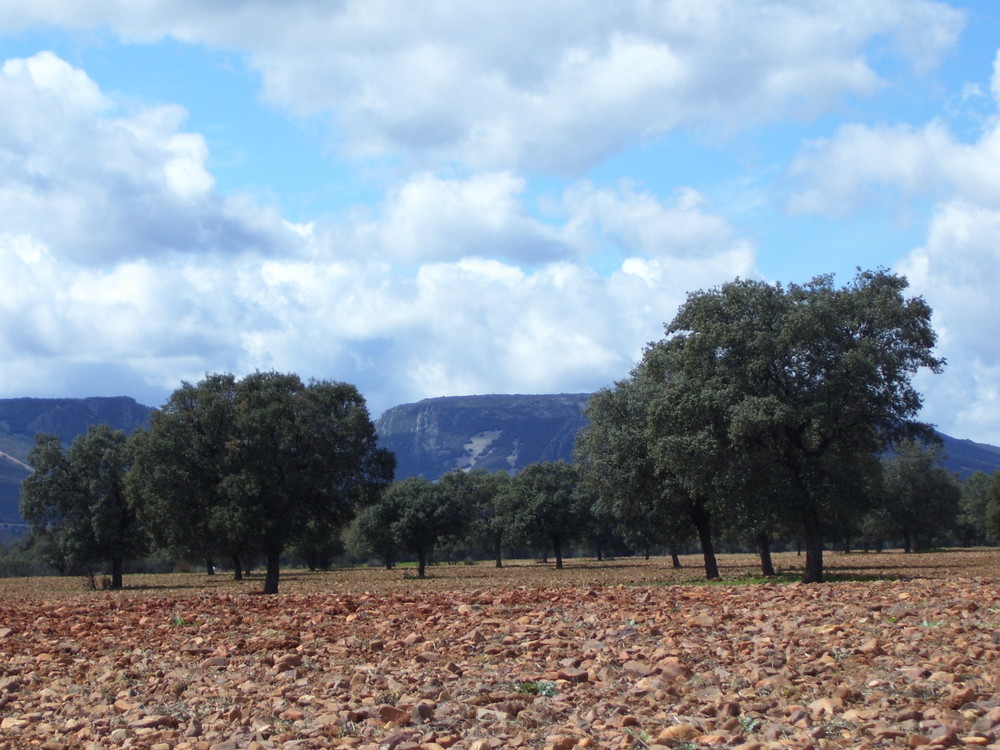 Paisaje en Los Montes de Toledo...FERNANDO LÓPEZ   fOTOGRAFÍAS...