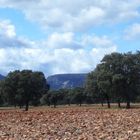 Paisaje en Los Montes de Toledo...FERNANDO LÓPEZ   fOTOGRAFÍAS...