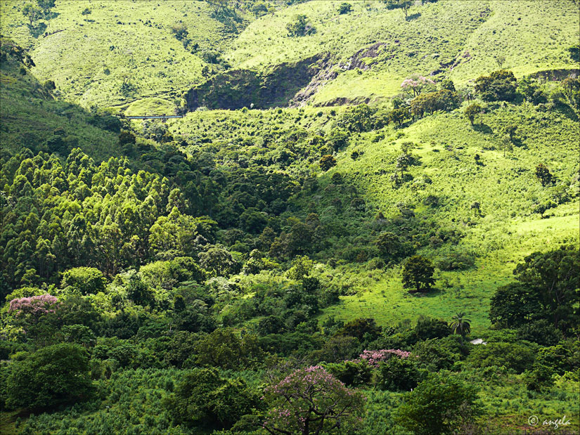 Paisaje en Minas Gerais (Brasil)