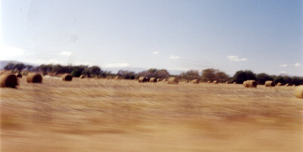 ... Paisaje en movimiento...