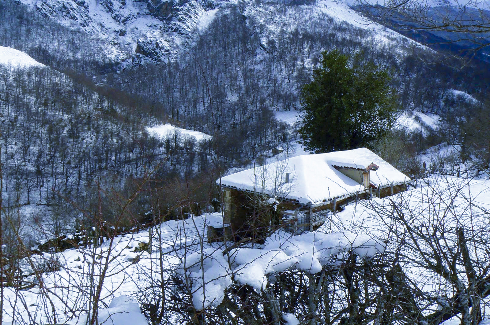 Paisaje invernal Asturias.