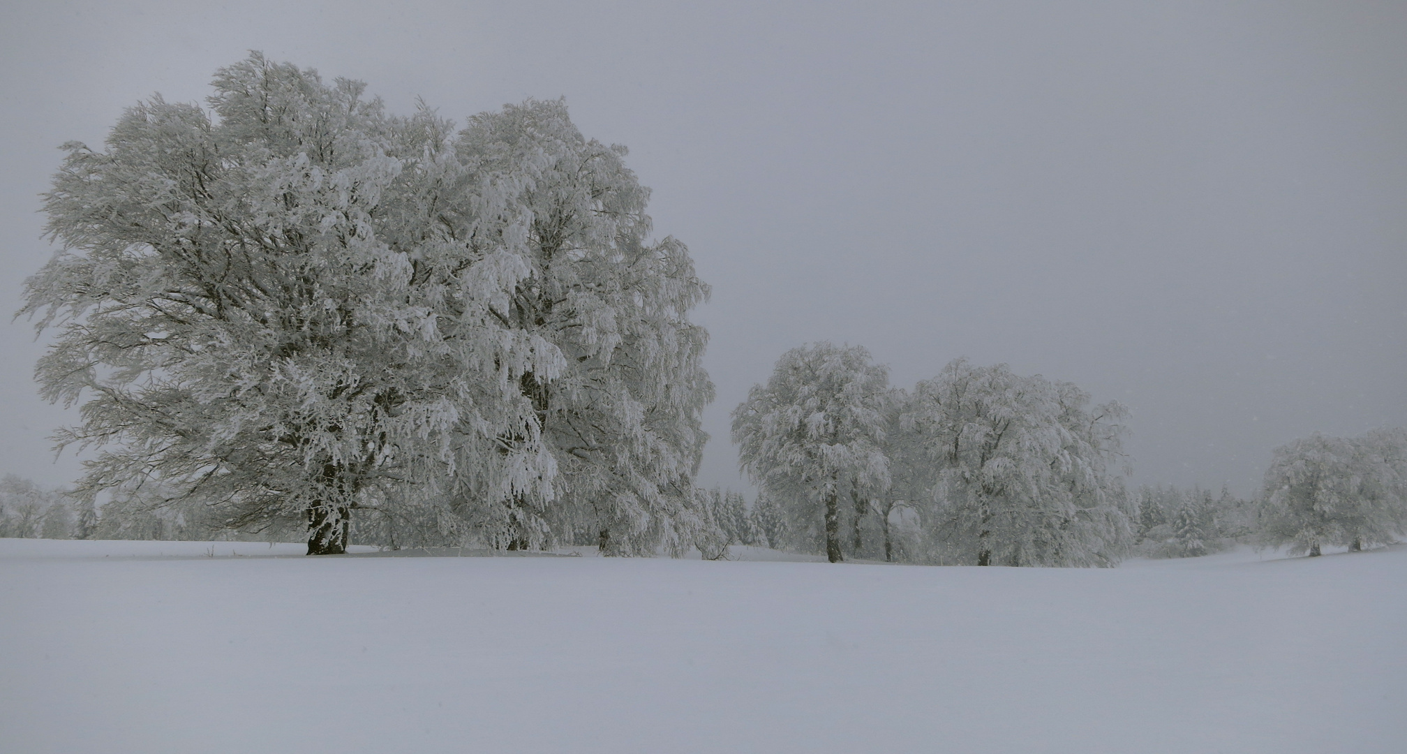 Paisaje invernal