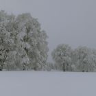 Paisaje invernal