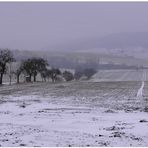 Paisaje invernal (winterliche Landschaft)