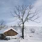 Paisaje nevado