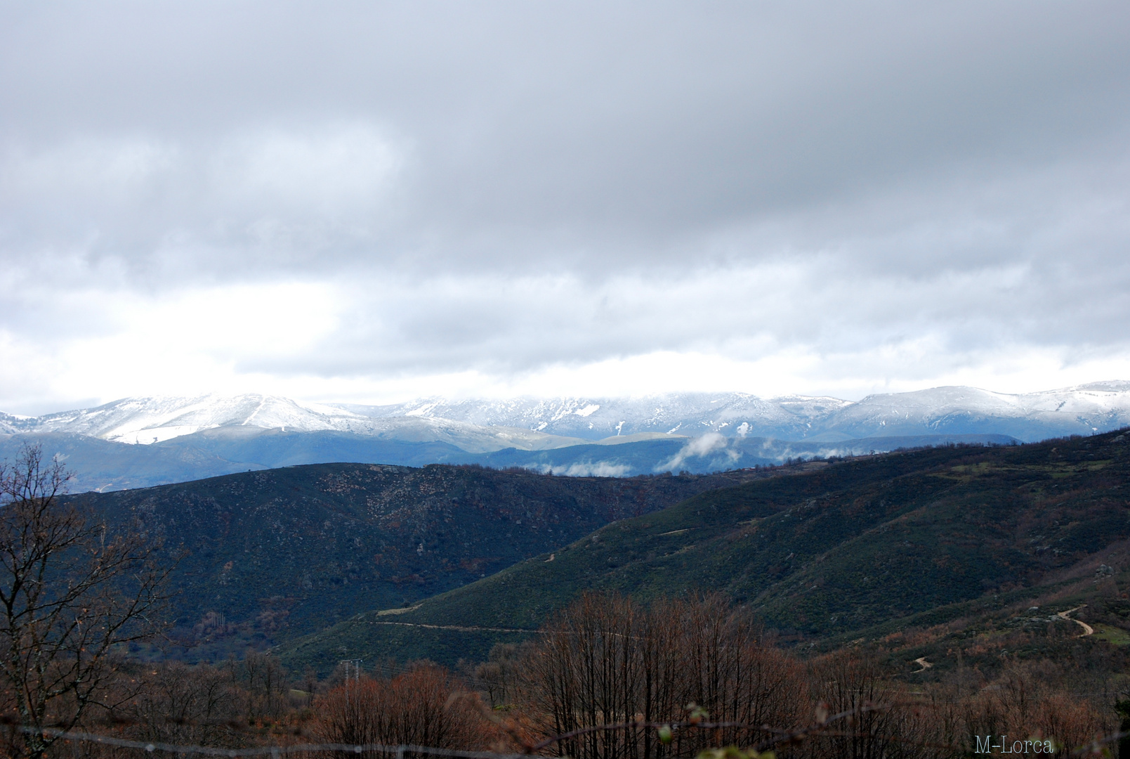 paisaje nevado