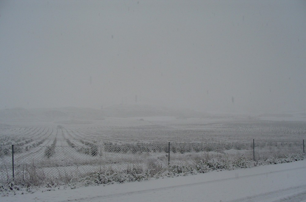 PAISAJE NEVADO