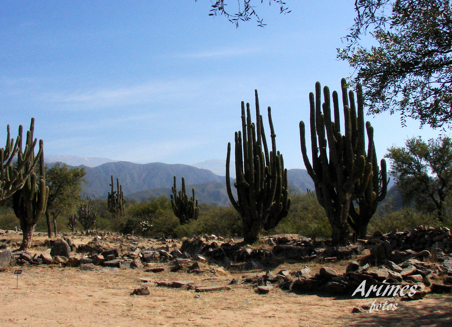 Paisaje norteño