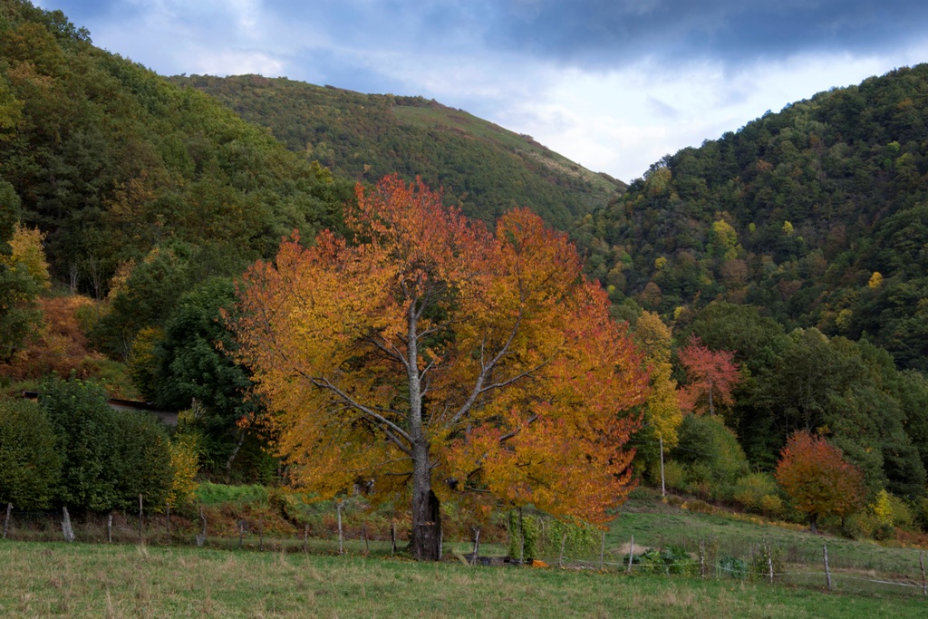 Paisaje otoñal