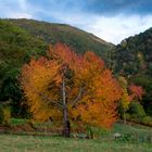 Paisaje otoñal