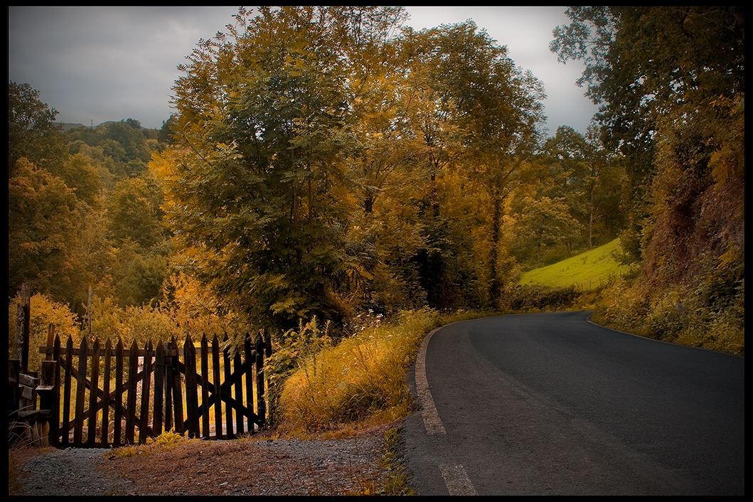 Paisaje otoñal