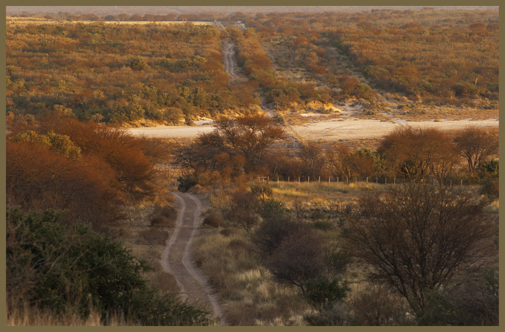 Paisaje pardo.